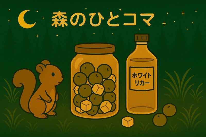 梅の瓶とホワイトリカーを見つめるリスのイラスト。森の中の梅しごとを描いた挿絵。